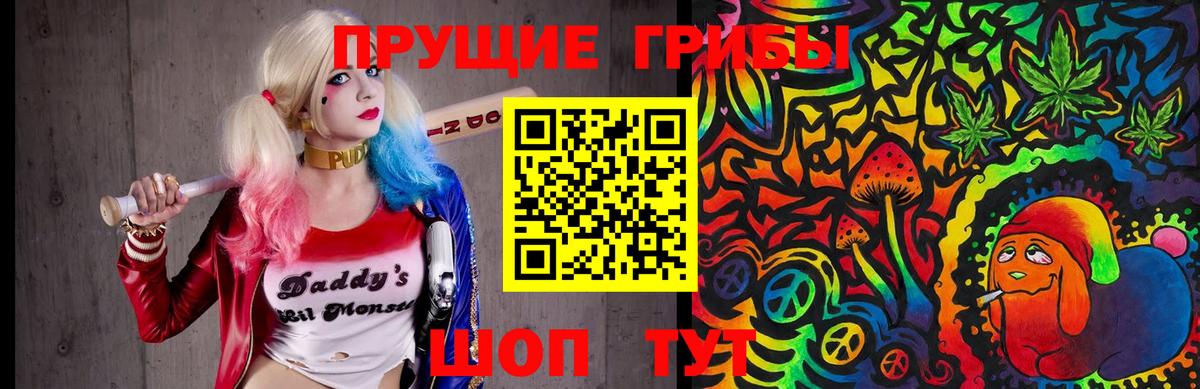 Корсаков  магазин    Вход с VPN  Псилоцибиновые грибы GOLDEN TEACHER 